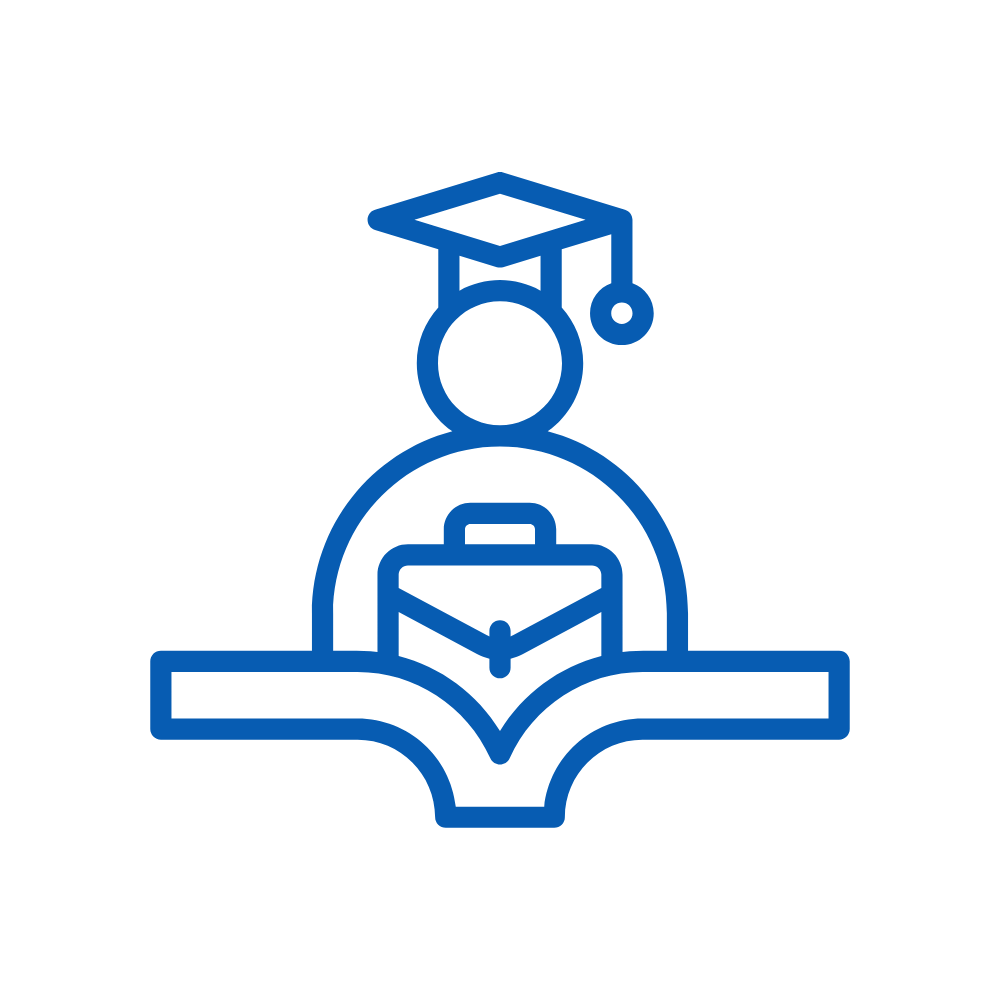 Placement and Internship Options